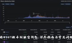 如何将USDT提币到波宝钱包：详尽指南与常见问题