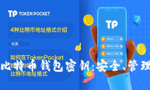 全方位解析比特币钱包密钥：安全、管理与最佳实践