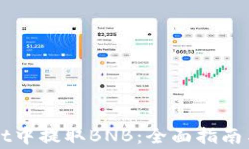 
如何在TPWallet中提取BNB：全面指南与常见问题分析