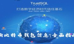 如何快速查询比特币钱包信息：全面指南与实用