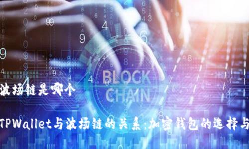 tpwallet波场链是哪个

深入了解TPWallet与波场链的关系：加密钱包的选择与未来趋势