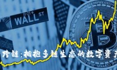 TPWallet 内跨链：拥抱多链生态的数字资产管理新