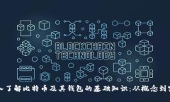 深入了解比特币及其钱包的基础知识：从概念到