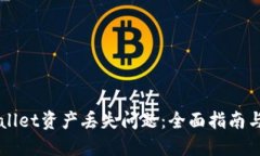 如何解决TPWallet资产丢失问题：全面指南与用户经